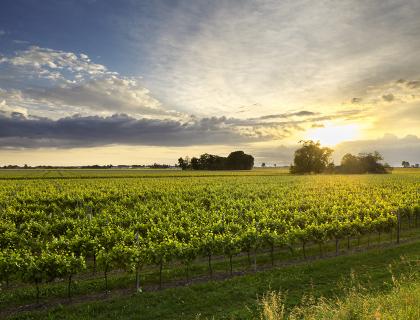 Tenuta Sant'Anna. Territory.