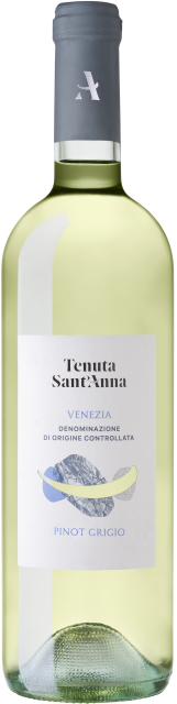 Venezia Pinot Grigio Venezia Pinot Grigio